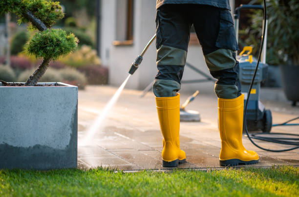 Best Roof Pressure Washing  in Charleston, WV